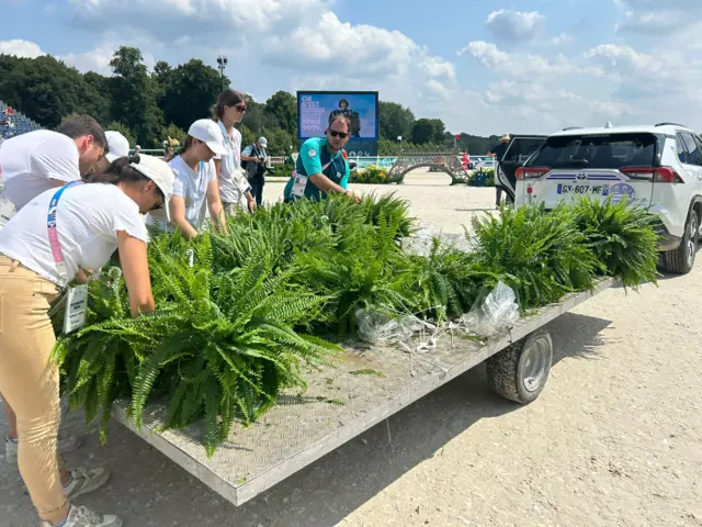 Fake plants on a trailer