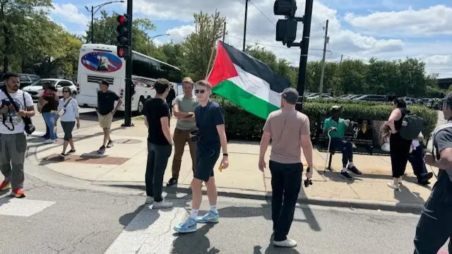 Pro-Palestinian protester