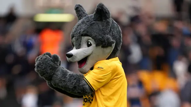 Wolves mascot