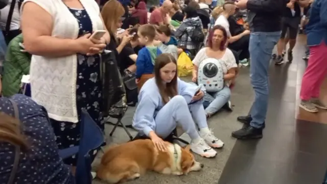 A girl strokes a dog while sheltering in a metro station