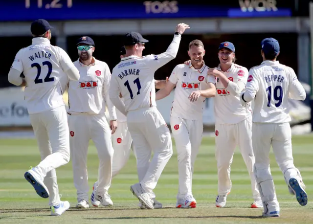 Essex celebrate taking a Worcestershire wicket