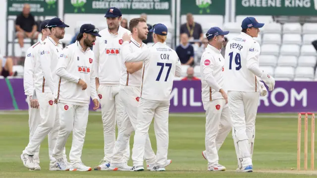 Essex players celebrating a wicket