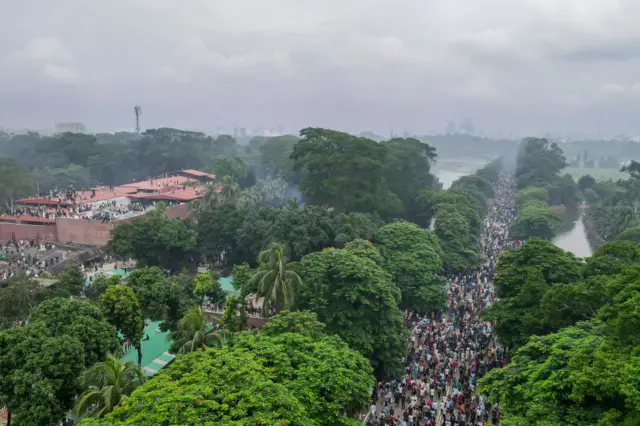 A road in between trees packed with people, taken from the air.