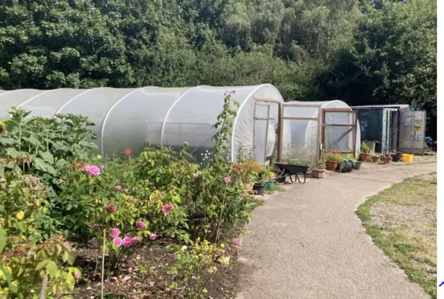 Plants and tunnels at the community garden