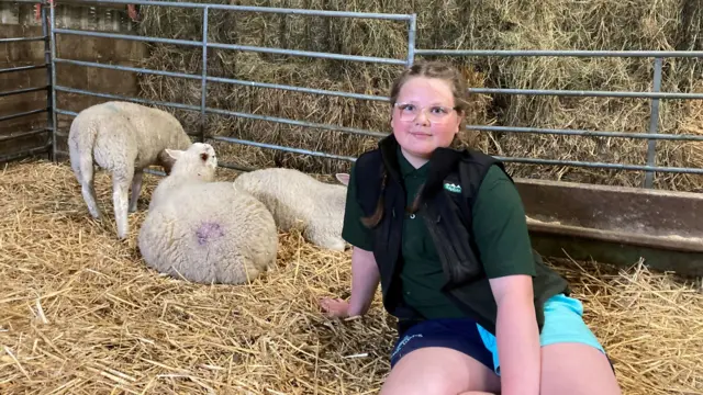 Holly sat on hay in a pen with sheep