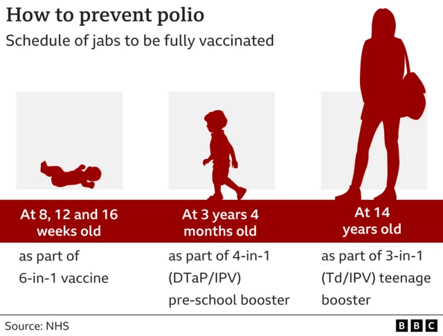 A graphic shows when polio vaccines are administered at each age group.