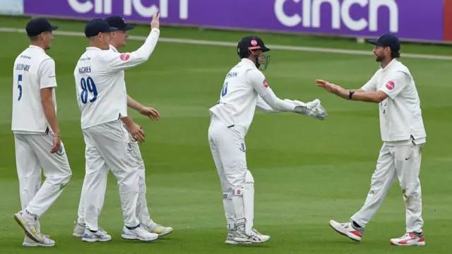 Sussex players celebrate a wicket at Hove