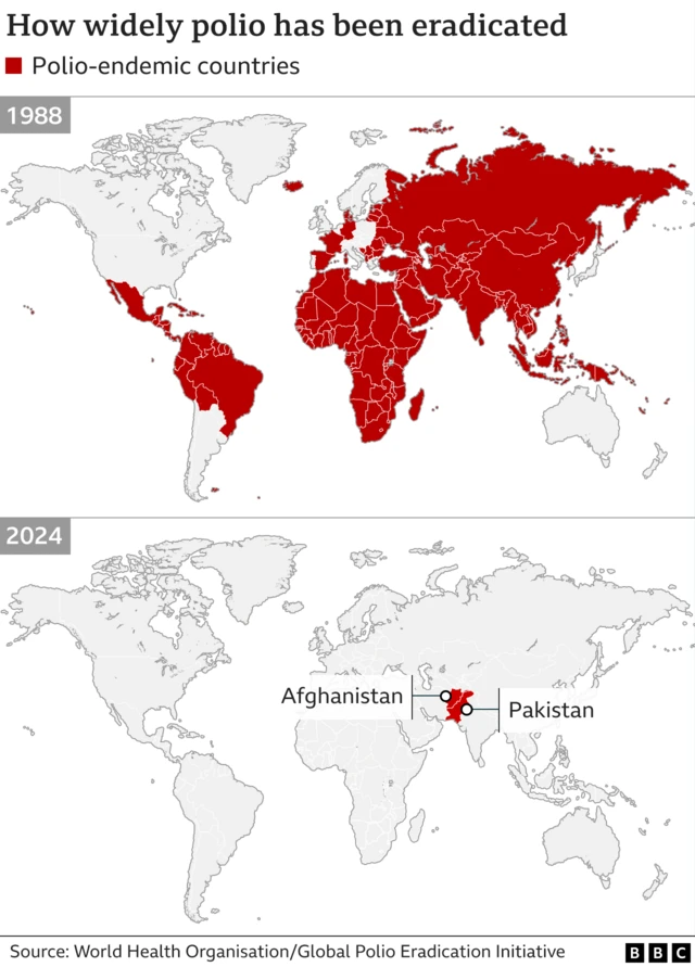 A map showing where wild poliovirus has been eradicated and where it remains active, which is Afghanistan and Pakistan