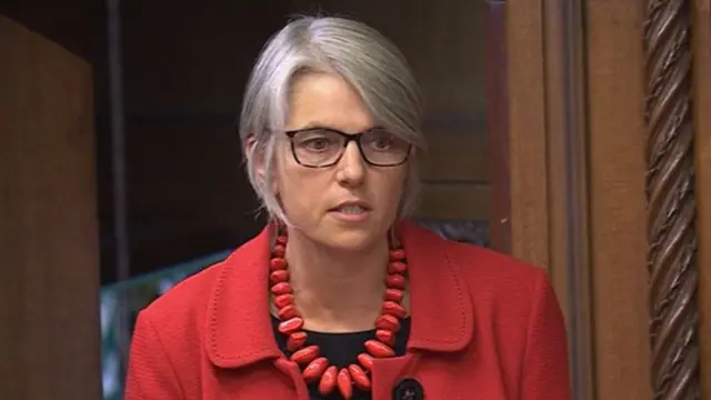 Labour's Anna Dixon speaking in the House of Commons