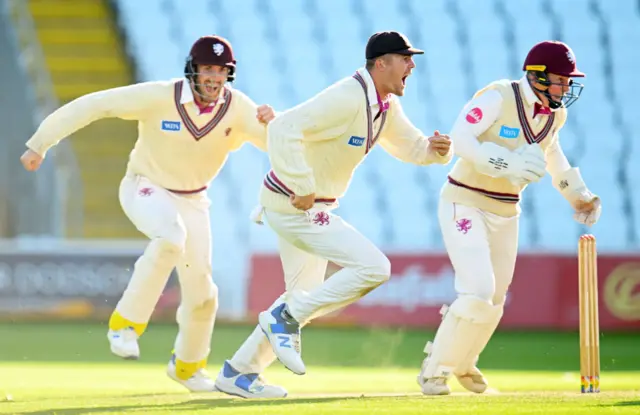 Somerset celebrate