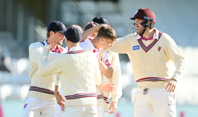 Somerset celebrate