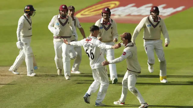 Somerset celebrate