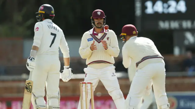 Ben Green of Somerset CC in at short leg