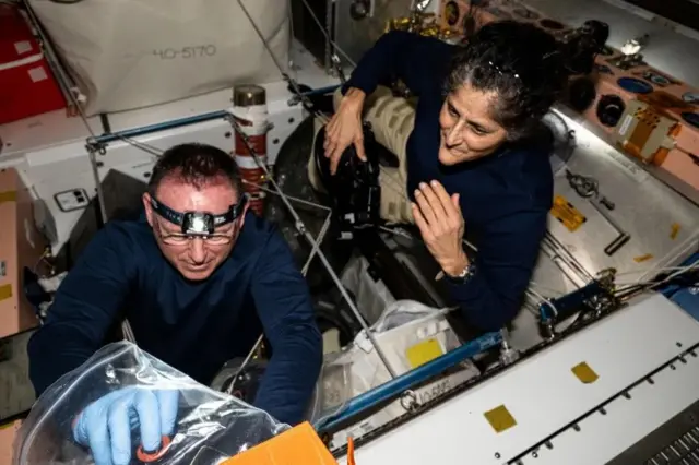 Wilmore and Williams inspect safety hardware aboard the ISS