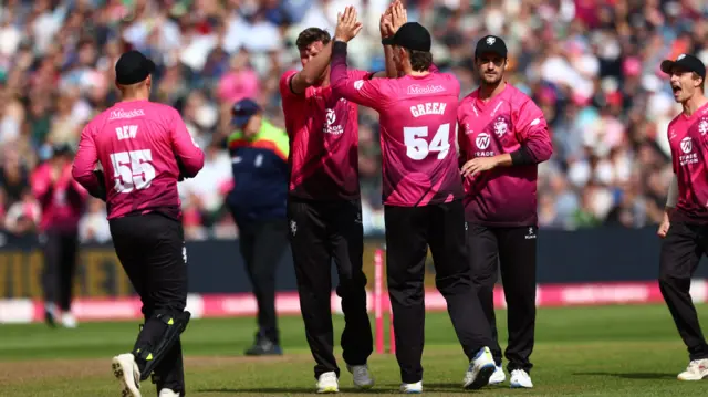 Somerset celebrate wicket