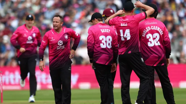 Somerset celebrate wicket