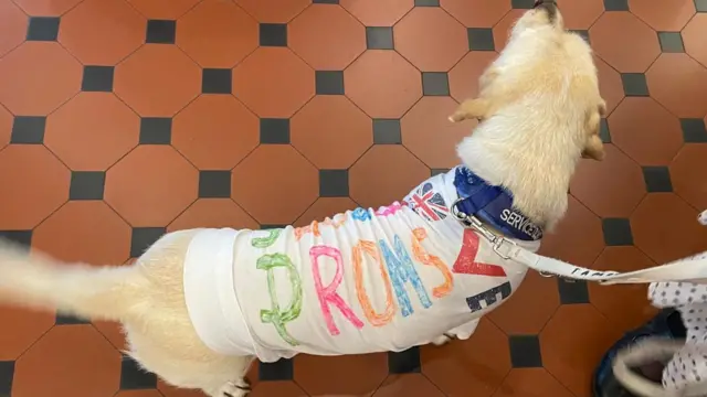 A dog with an outfit that says Proms