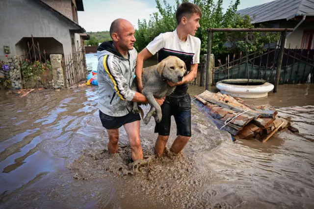 Two men carry a dog through water