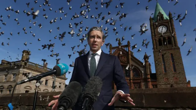 Simon Harris, a man in a navy suits in front of microphones with a flock of pigeons flying behind him