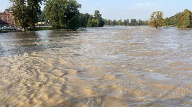 High river levels seen against trees