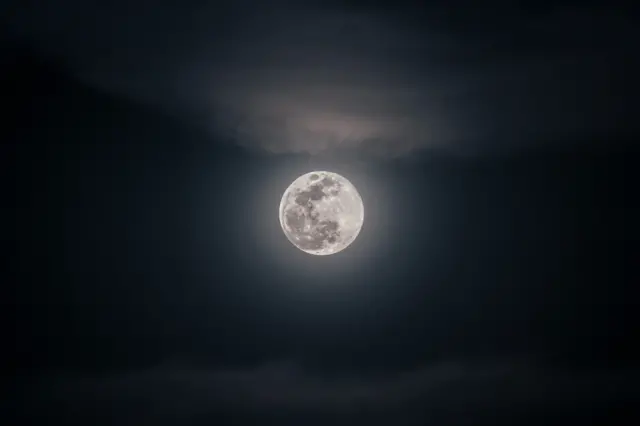 The moon glows in the night sky