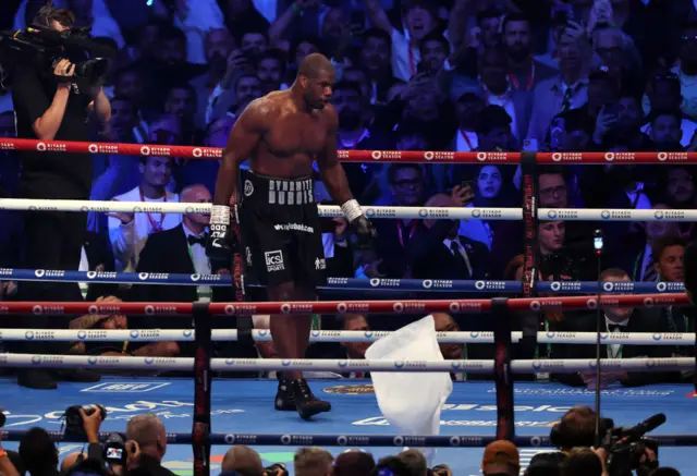 Daniel Dubois celebrates