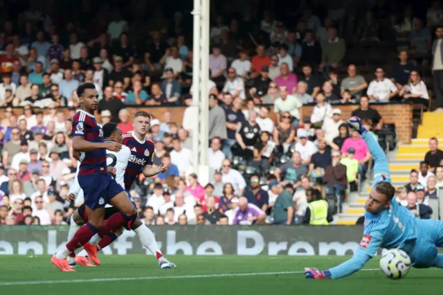 Fulham 2-1 Newcastle