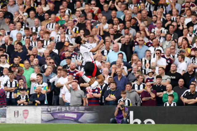 Fulham 1-0 Newcastle