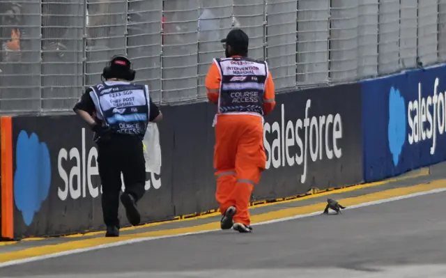 Marshals chase after a lizard on the track during Singapore Grand Prix third practice