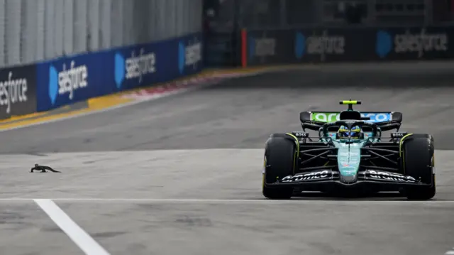 Fernando Alonso's Aston Martin passes a lizard on the track during Singapore Grand Prix third practice