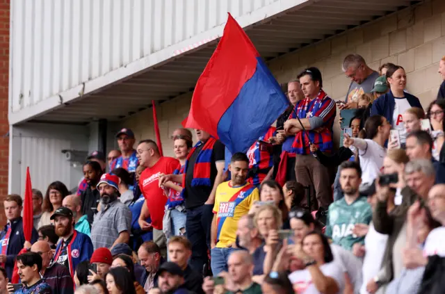 Palace fans cheer the efforts of their side