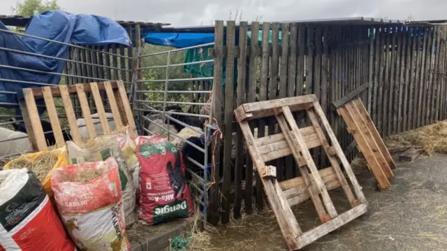 Animals in temporary pens after flooding at Moreteyne’s Retreat in Marston Moretaine, Bedfordshire. Photo: 23 September 2024