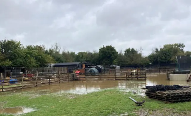 Sections of the farm are covered in flood water.