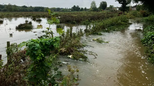 The burst banks of the River Flit mean water has flooded a green leafy area with brown water. Impassable water is either side of a wire fence.