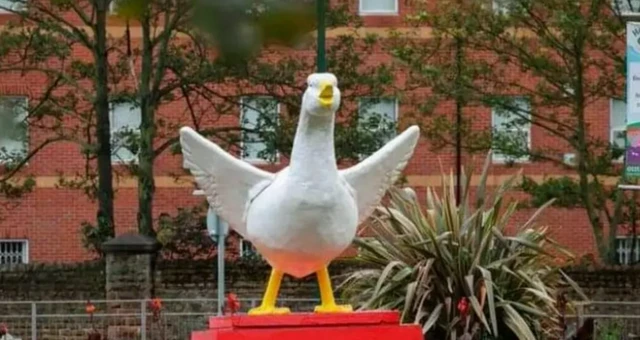 'Goosey' the mascot