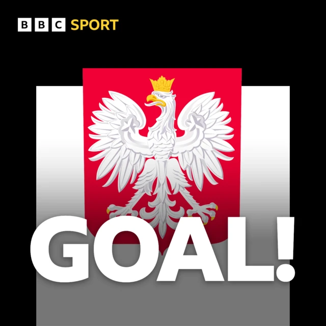 Poland goal graphic