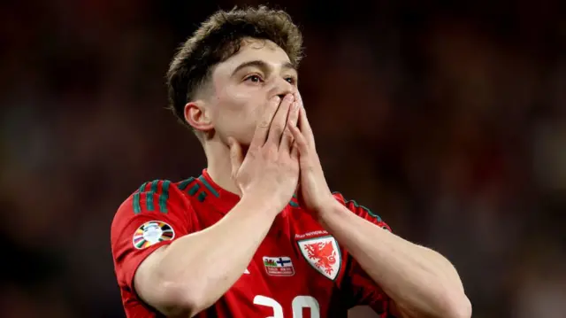 Wales winger Daniel James