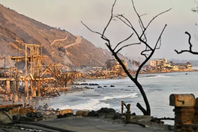 A view of Malibu's oceanside coastline with lots of burnt out properties and smoldering ruins, with a burnt tree in the foreground