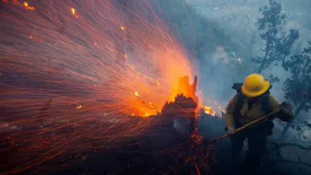 Embers from a burning tree stump blow to the left, while a fireman works to put out flames on the right of the image