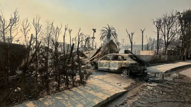 A burnt out car surrounded by burned down trees and rubble and ash