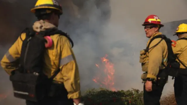 Firefighters observing a fire in some shrub land