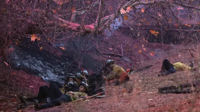 A group of firefighters in uniform lie on the ground on a slope under trees. The entire area is stained pink by the retardant