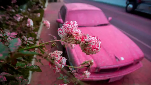 Flowers and a car are covered by fire retardant as the Palisades Fire, one of simultaneous blazes that have ripped across Los Angeles County, burns at the Mandeville Canyon