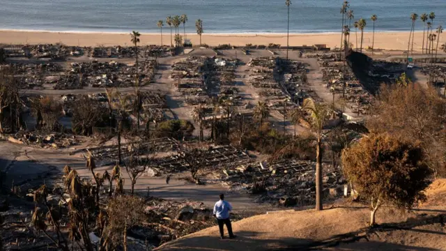 A utilities worker views damage from the Palisades Fire, in the Pacific Palisades neighborhood in Los Angeles, California, U.S. January 12, 2025