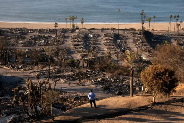 A man standing at the top of a hill. In front of him is street after street of burned down homes and trees. At the bottom is a sandy beach and the sea.