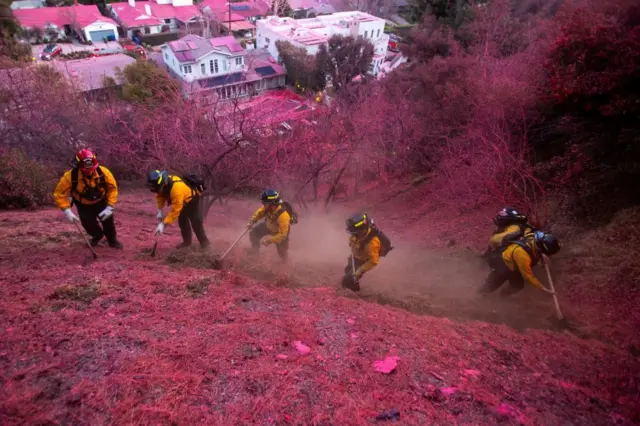 Description Firefighters work to clear a firebreak on a hillside covered with retardant as the Palisades Fire, one of several simultaneous blazes that have ripped across Los Angeles County, burns in Mandeville Canyon, a neighborhood of Los Angeles, California, U.S., January 12, 2025.