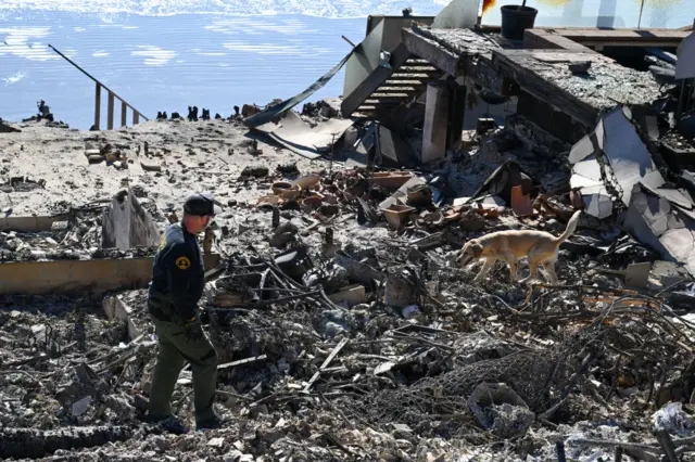 A K9 unit from the Sheriff department searches for possible body remains in ashes of burned houses at Malibu Beach after 'Palisades Fire' in Los Angeles, California, United States on January 12, 2025