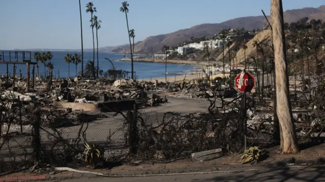 A neighbourhood destroyed by fire in Palisades