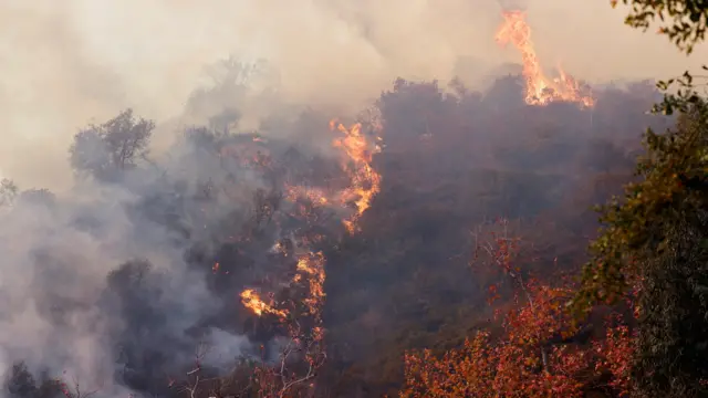 Smoke and fire on a hill in LA