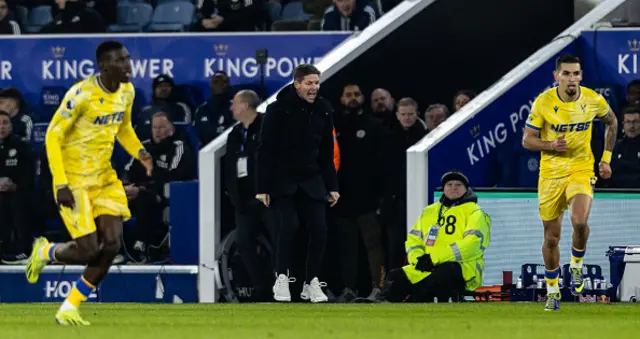 Crystal Palace's manager Oliver Glasner reacts